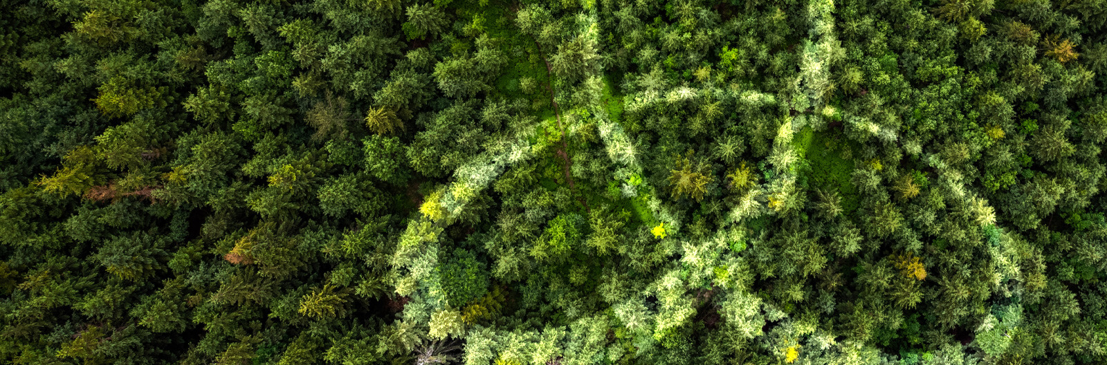 CSL approach to sustainability hero