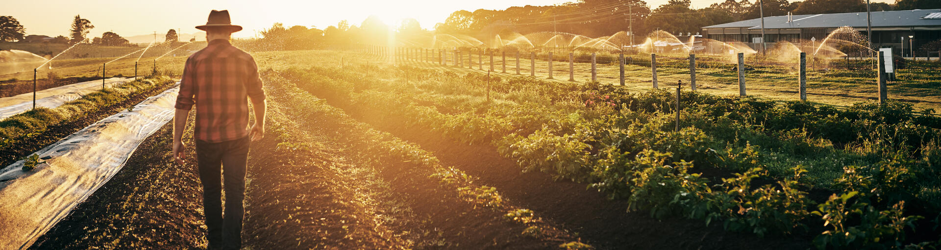 Farmer standing in the field 